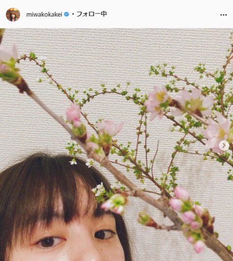 筧美和子公式Instagram（miwakokakei）より