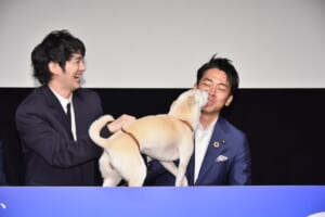 映画「犬部！」ティーチインイベント