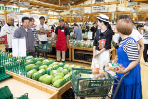 『錦鯉と行く1泊2日！何かが起きるクイズ旅』