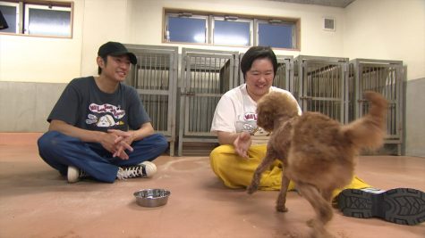 『嗚呼!!みんなの動物園』