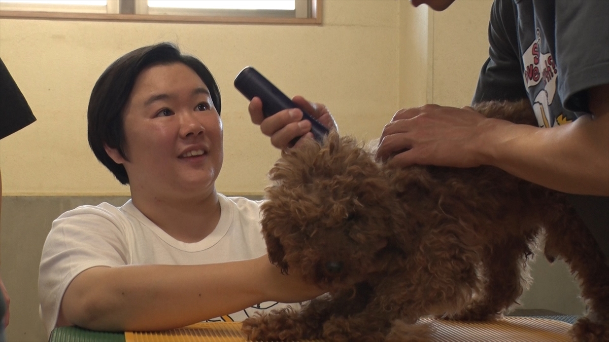 『嗚呼!!みんなの動物園』