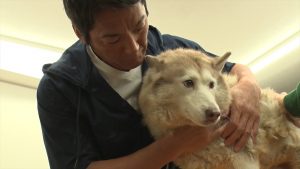 『嗚呼!!みんなの動物園』2時間スペシャル