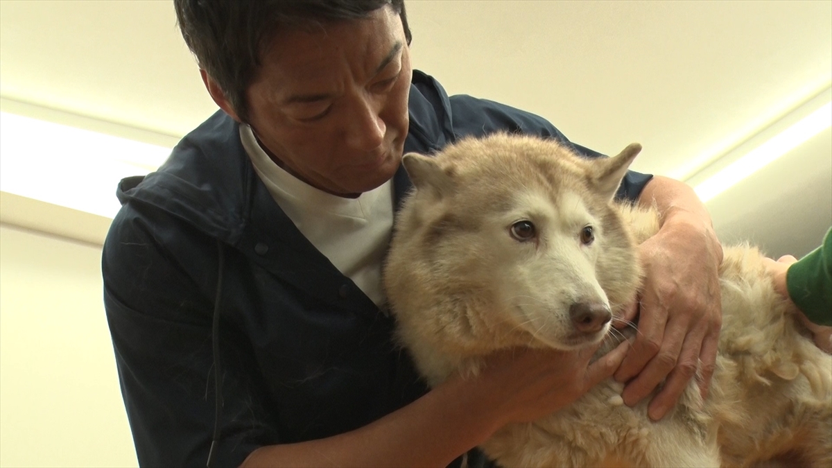 『嗚呼!!みんなの動物園』2時間スペシャル