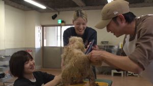 『嗚呼!!みんなの動物園』