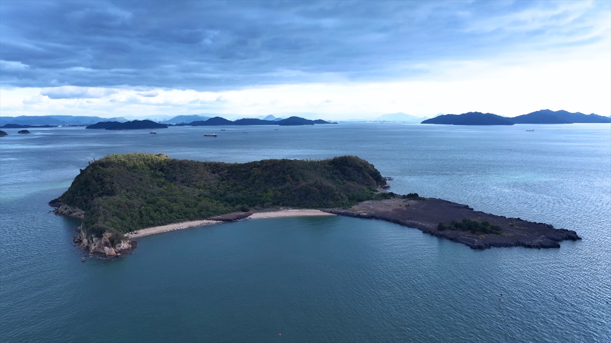 『飛んで見にいく謎の島』