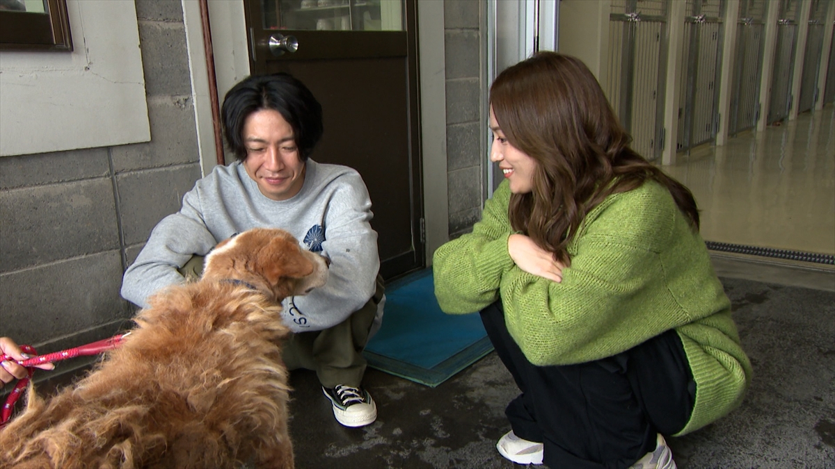 『嗚呼!!みんなの動物園』