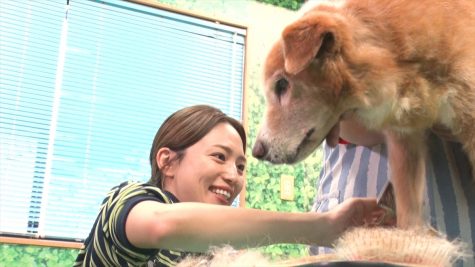 『嗚呼!!みんなの動物園』