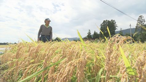 『時給10円という現実～消えゆく農民～』